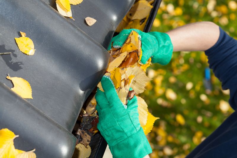 Fall Leaf Prevention